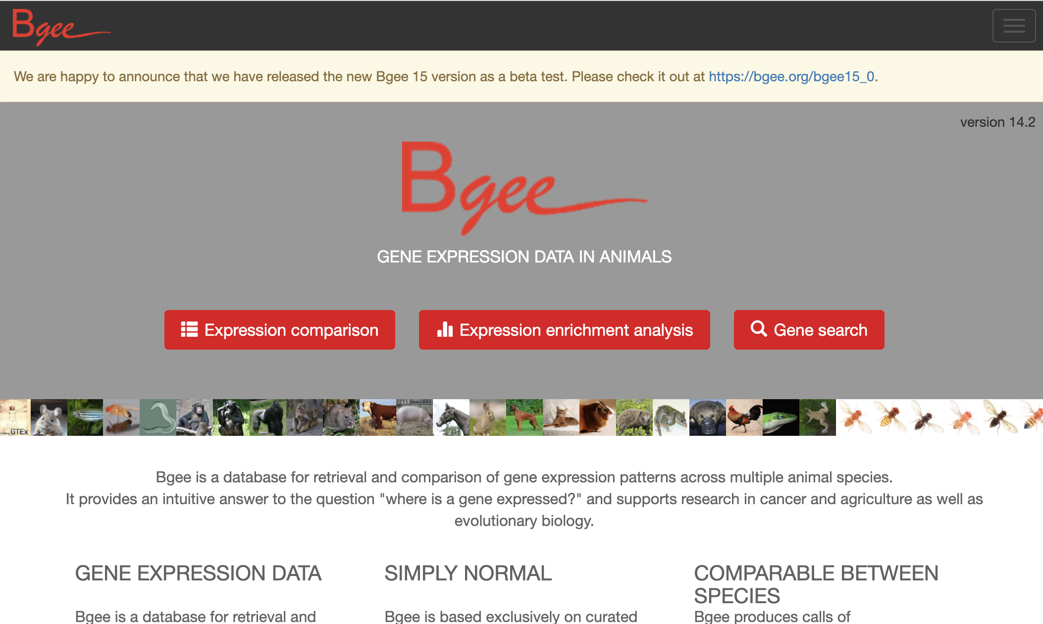 Bgee site image