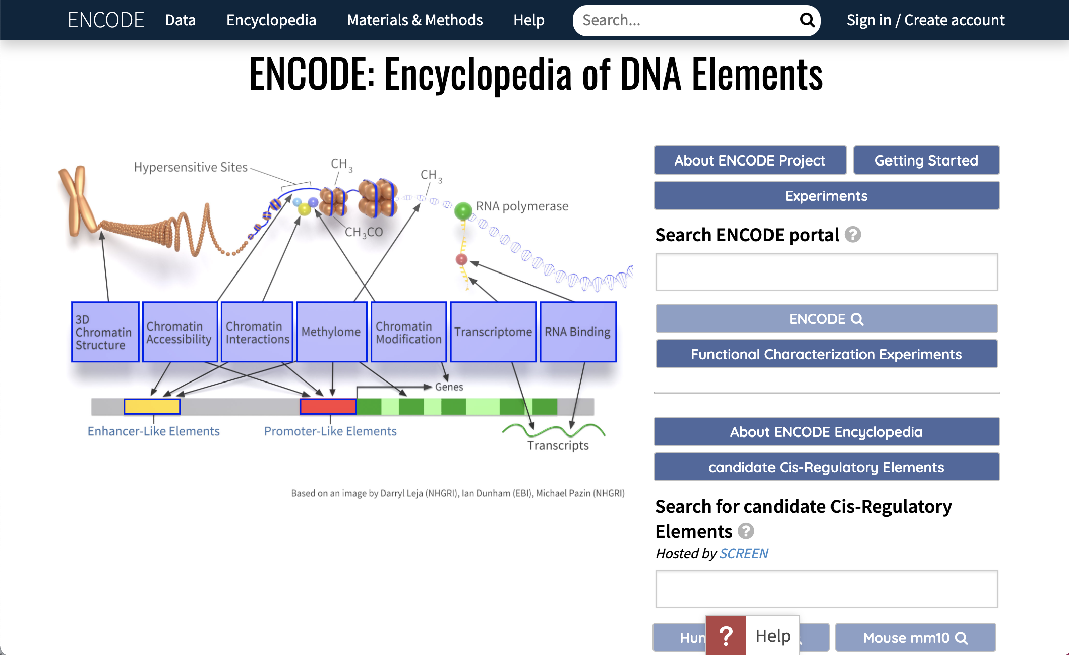 ENCODE site image