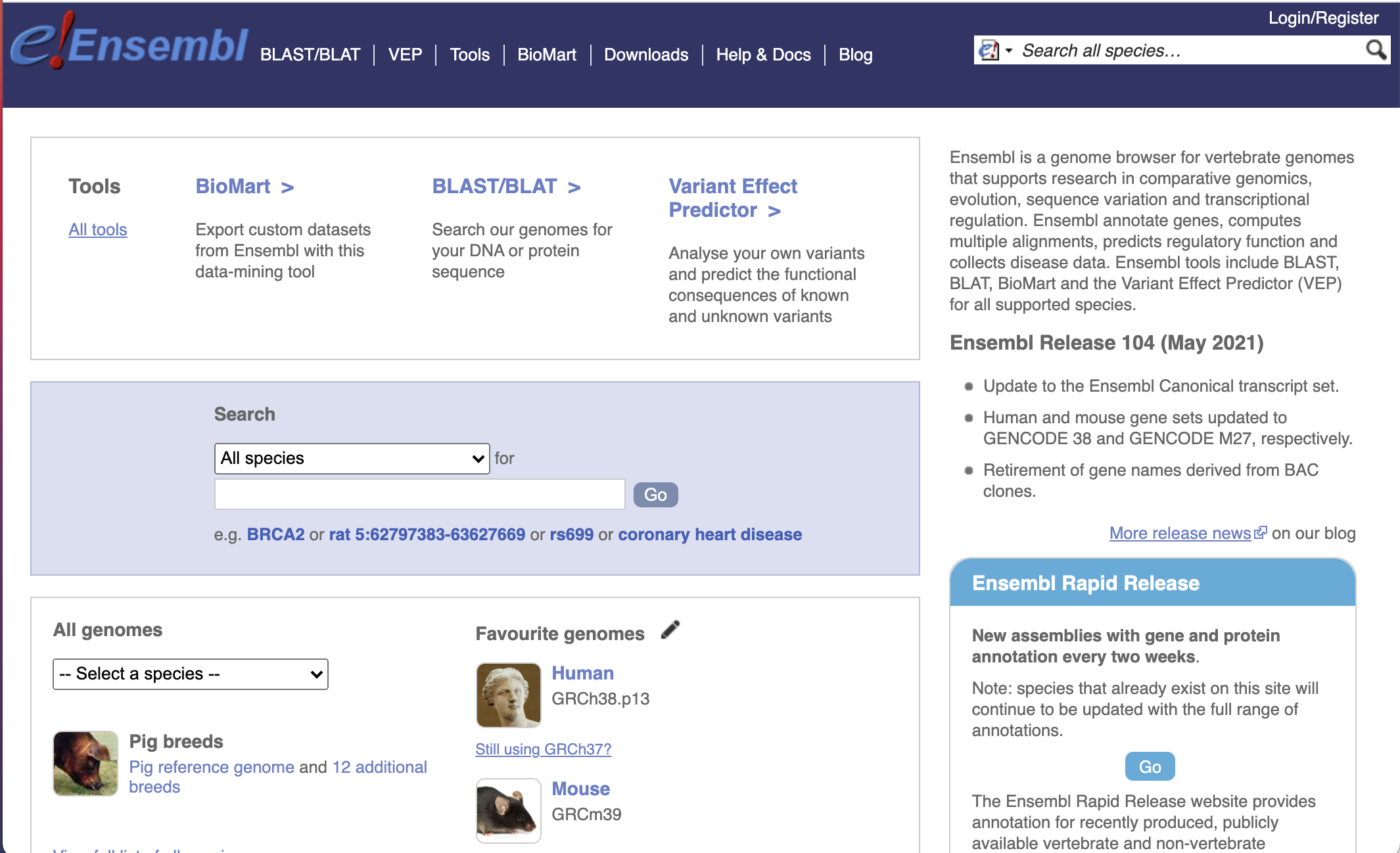 Ensembl site image