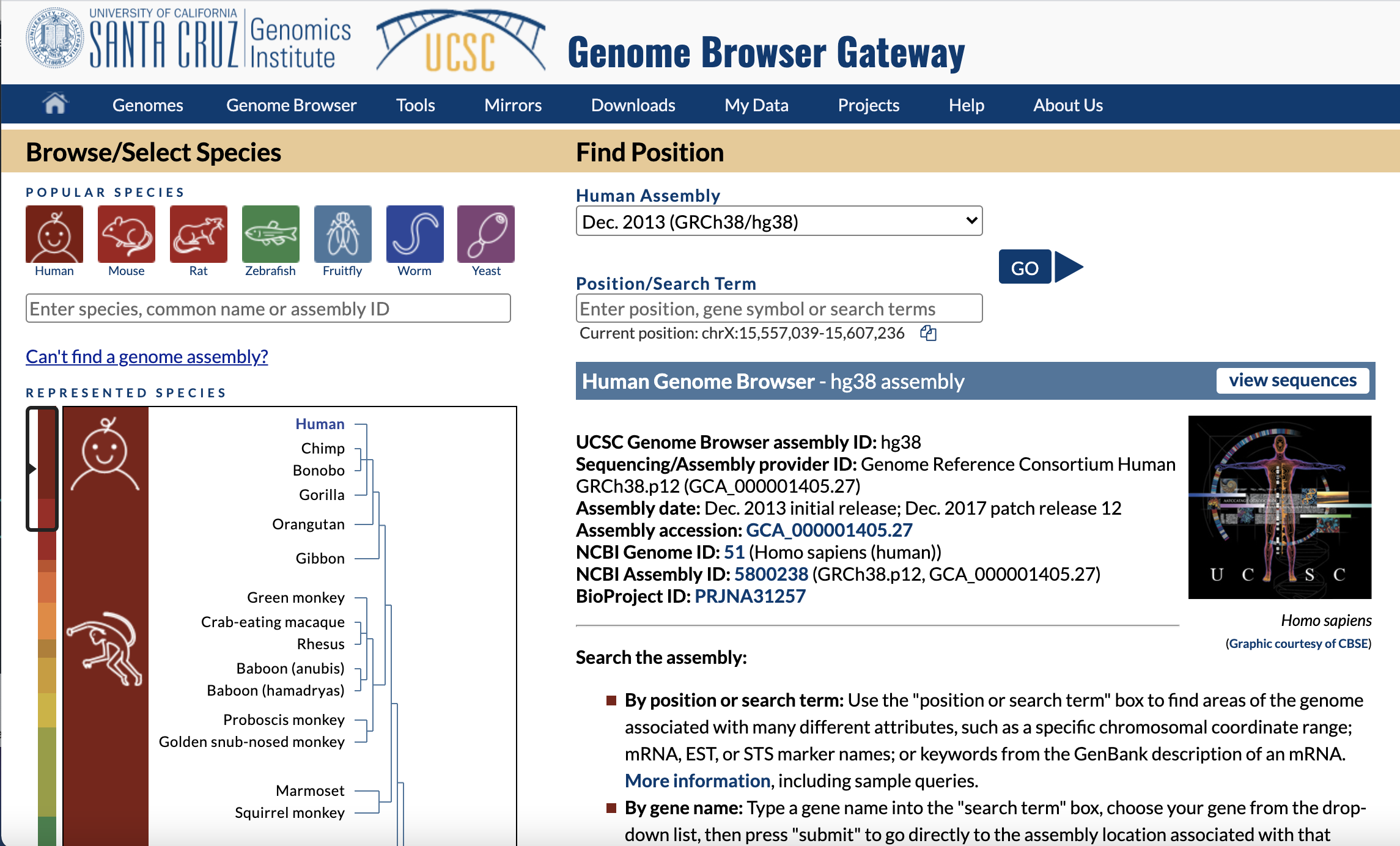 Human Genome Browser site image
