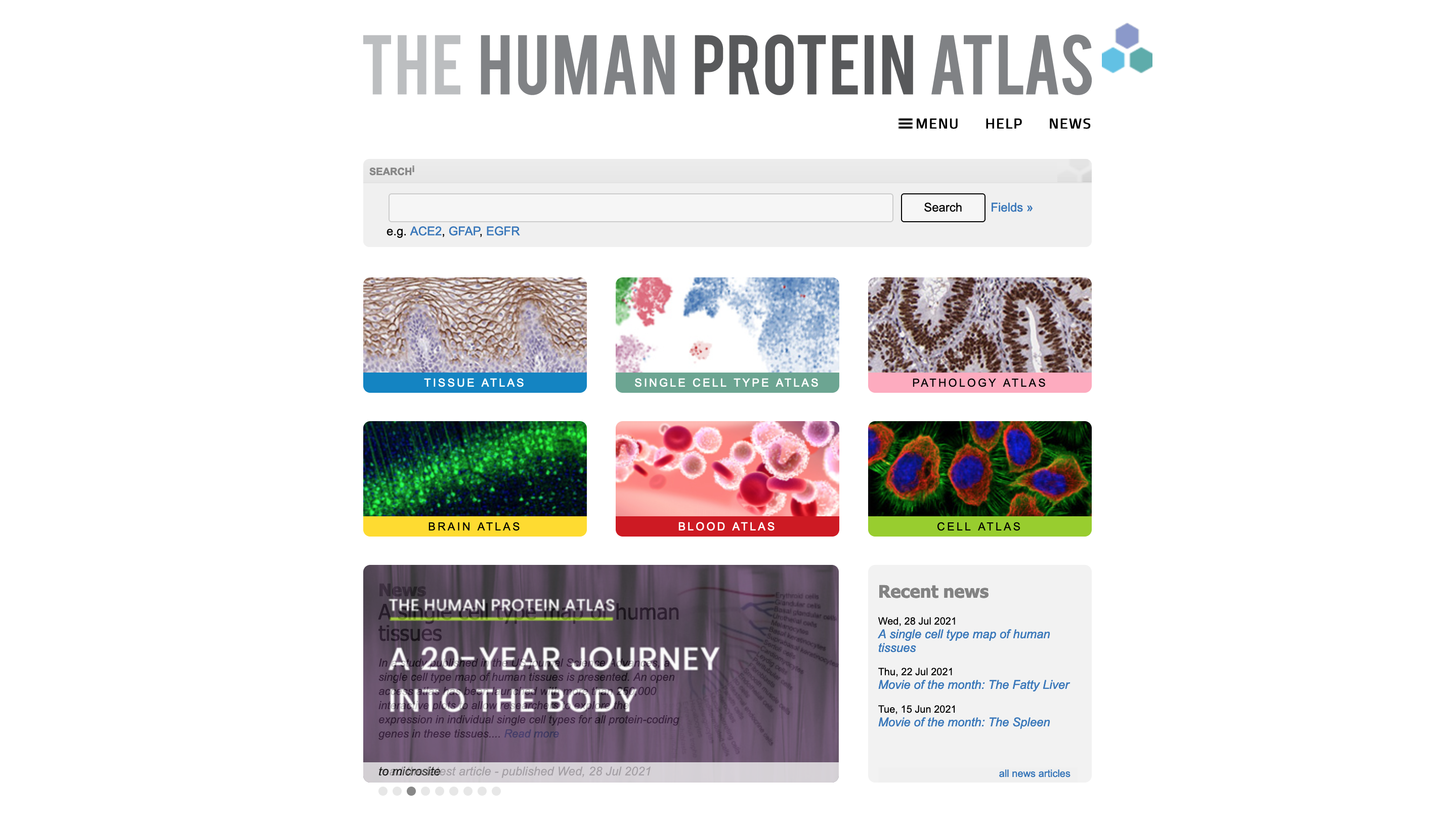 Human Protein Atlas site image
