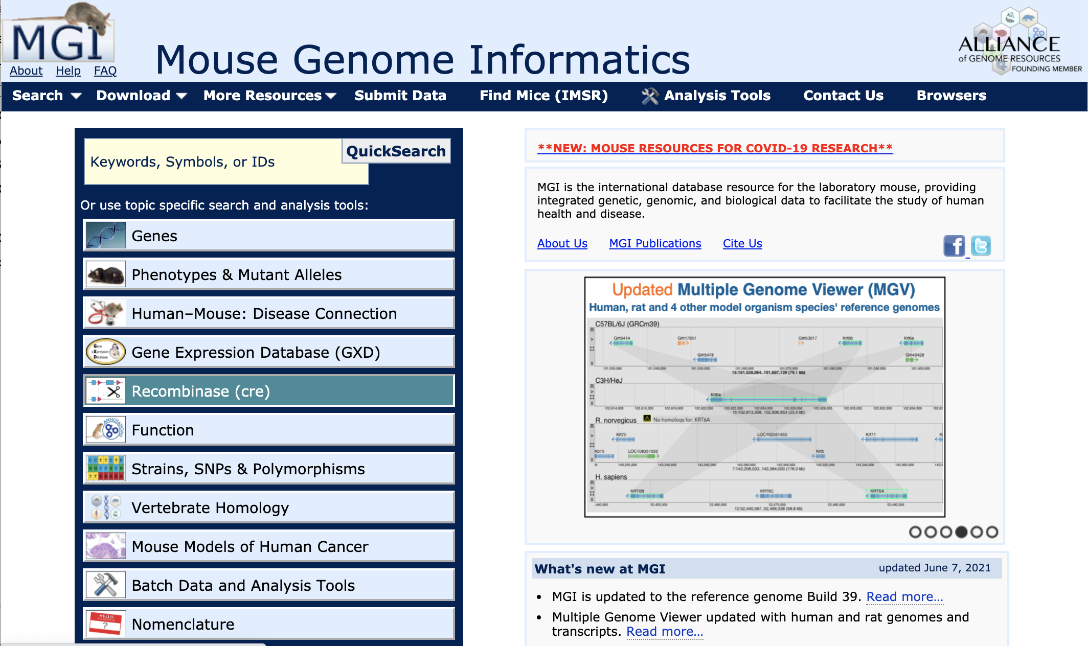 MGI site image